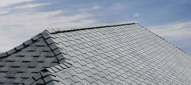 RIDGE VENT